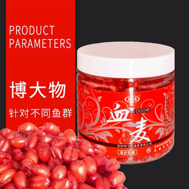 鱼诱血麦麦粒钓鱼饵料打窝野钓塘钓诱鱼垂钓鲫鱼鲤鱼草鱼黑坑鱼料