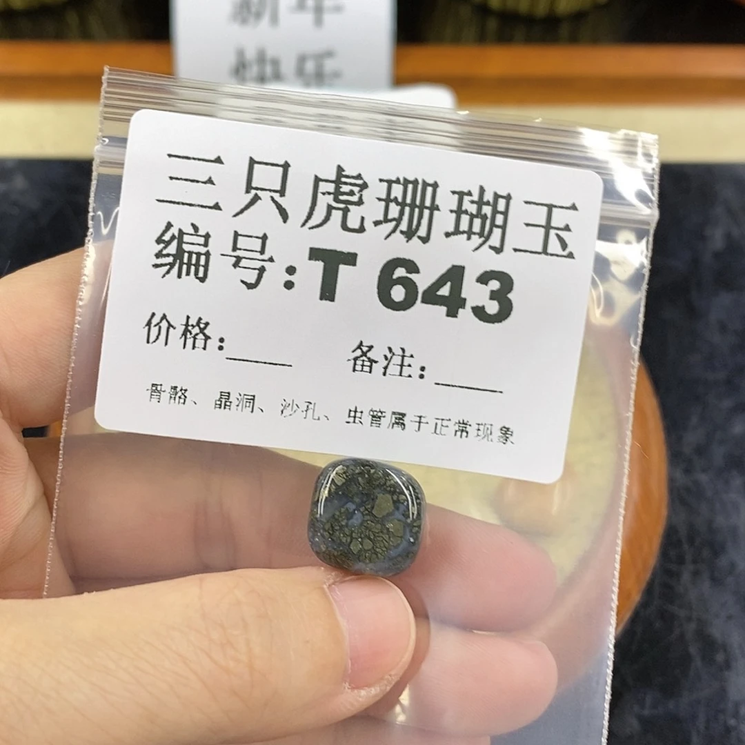 硅化珊瑚（珊瑚玉）1未镶嵌小*