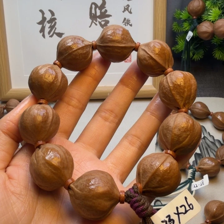 M***）橄榄核其他梅林铁核2326尺寸