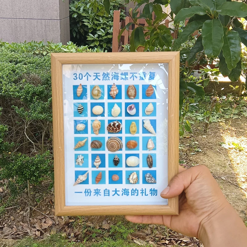 舟山天然海螺贝壳工艺品相框海岛创意礼品纪念品地中海家居装饰