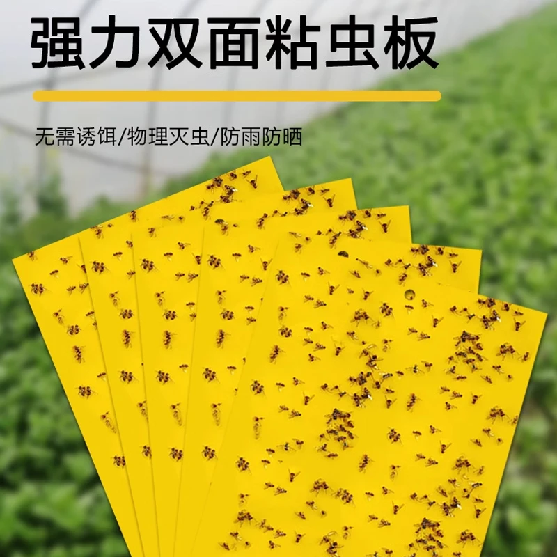 【果园大棚专用】黄板双面粘虫板蓟马纸贴飞虫果园沾果蝇诱捕器粘板