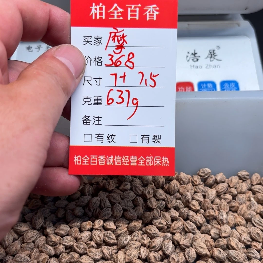 摩*柏香籽散子 673 克散子
