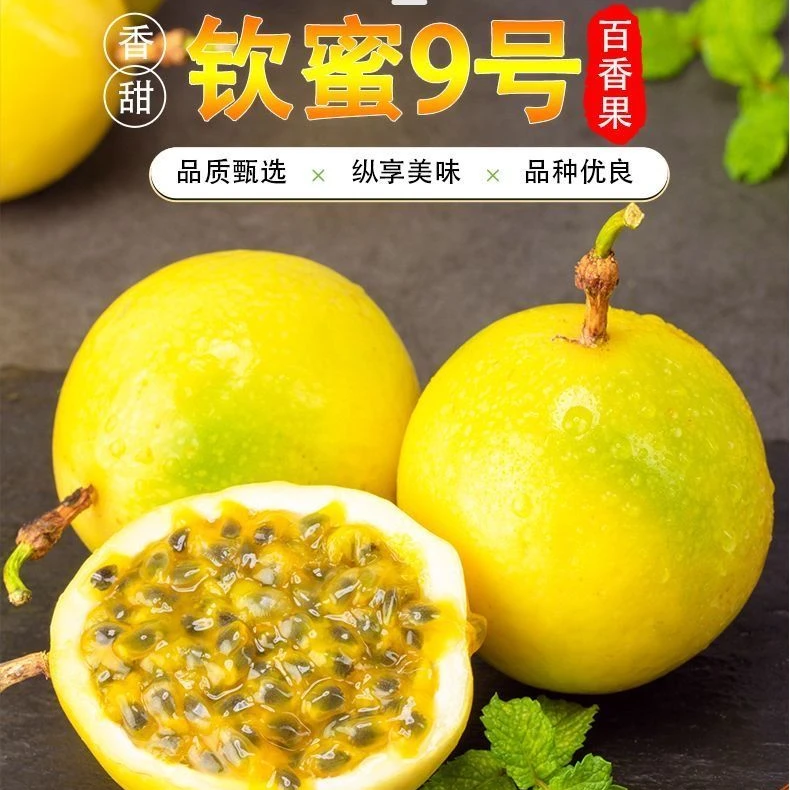 【8年老树果】正宗广西钦蜜9号黄金百香果新鲜水果孕妇应季一整箱