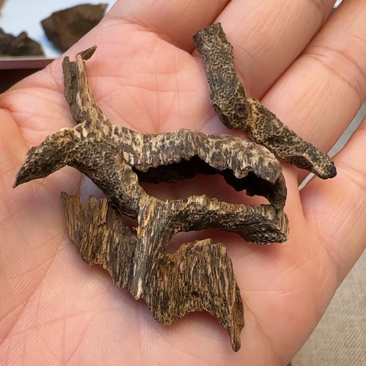 沉香摆件海南野生沉水鸡母虫3.7克