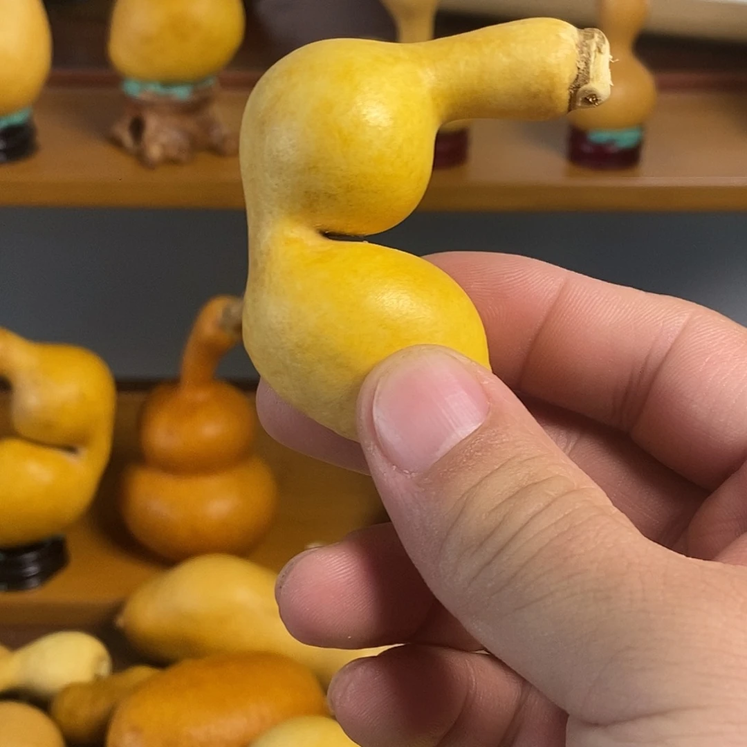 ?****姐土豆皮蚂蚁葫芦。