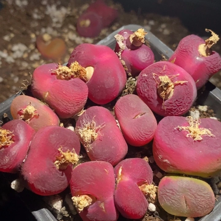 24179一组一组一组