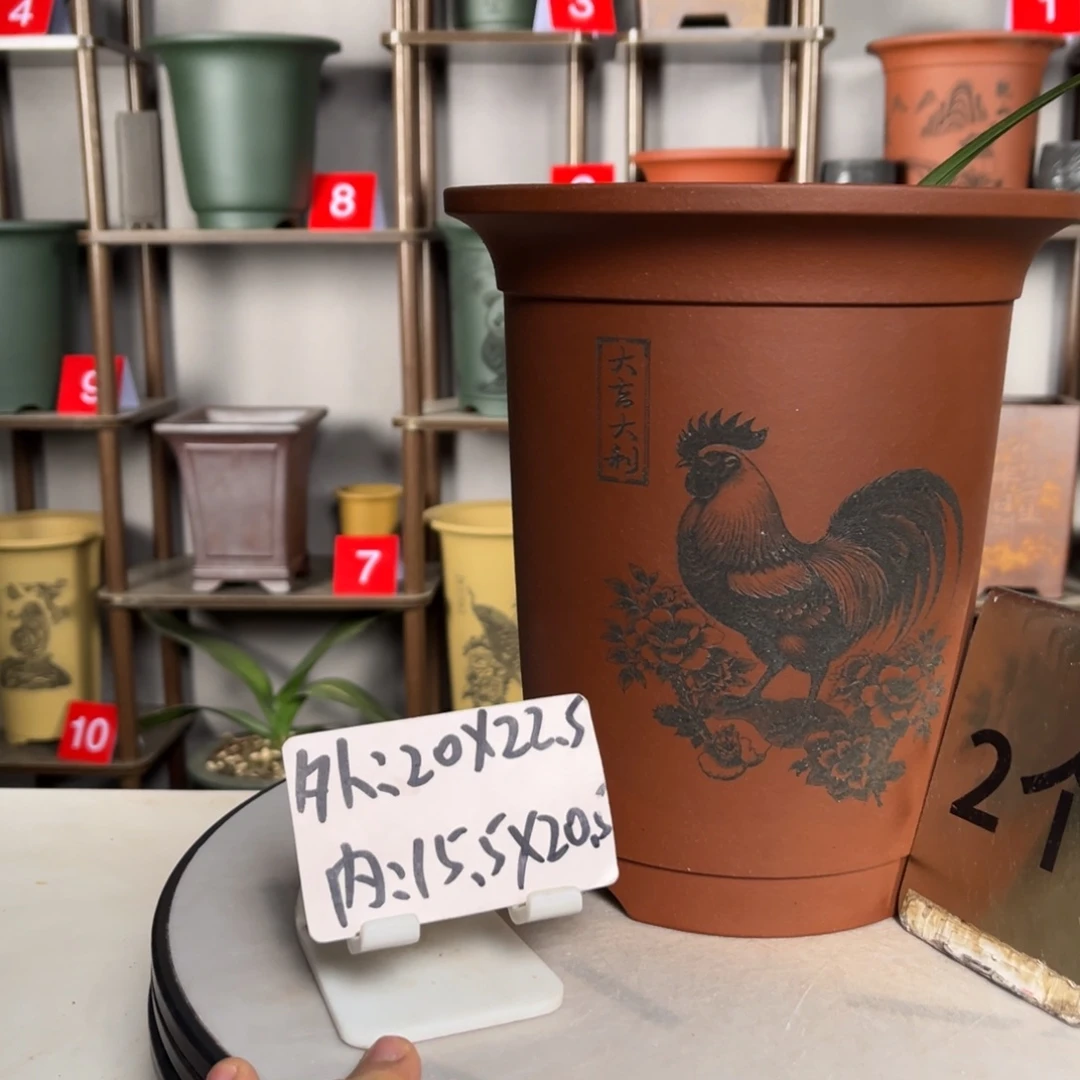 紫砂花盆紫砂花盆