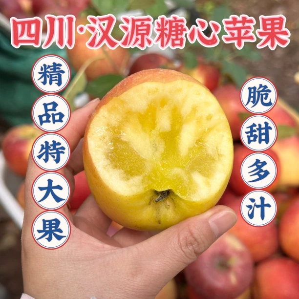 四川·汉源糖心苹果 12枚8斤特大果 礼盒装
