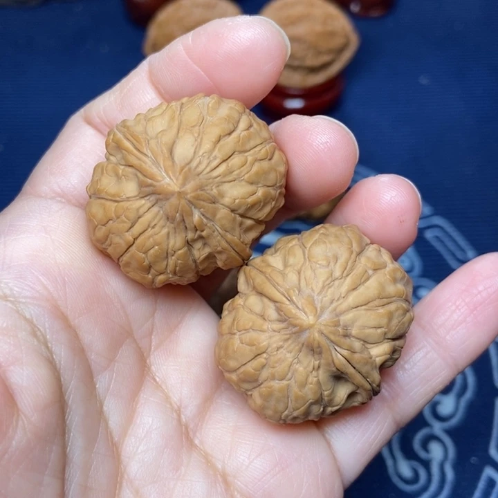 核桃文玩核桃龟甲纹