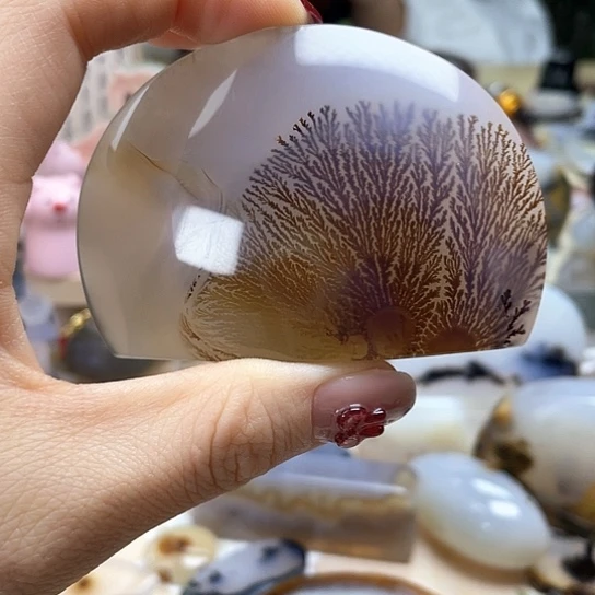 玛瑙/玉髓颈饰未镶嵌林*林