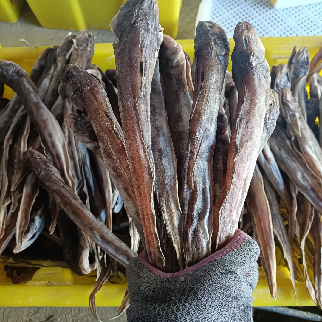 大连狗杠鱼干2斤