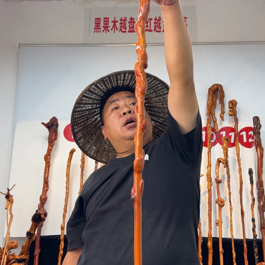 情***深其他黑果木黑果木573