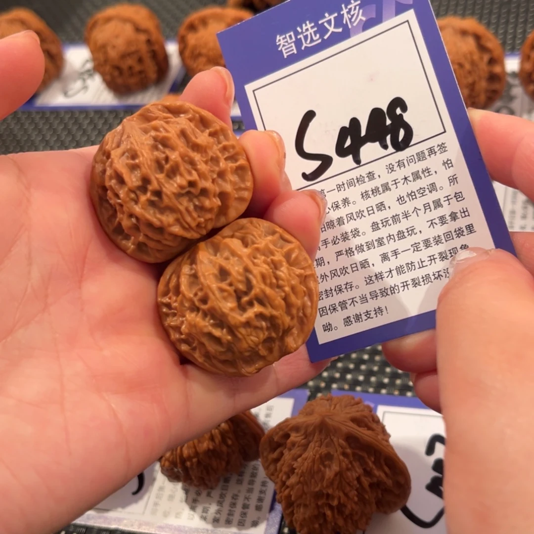 核桃S448号秦闷36尺