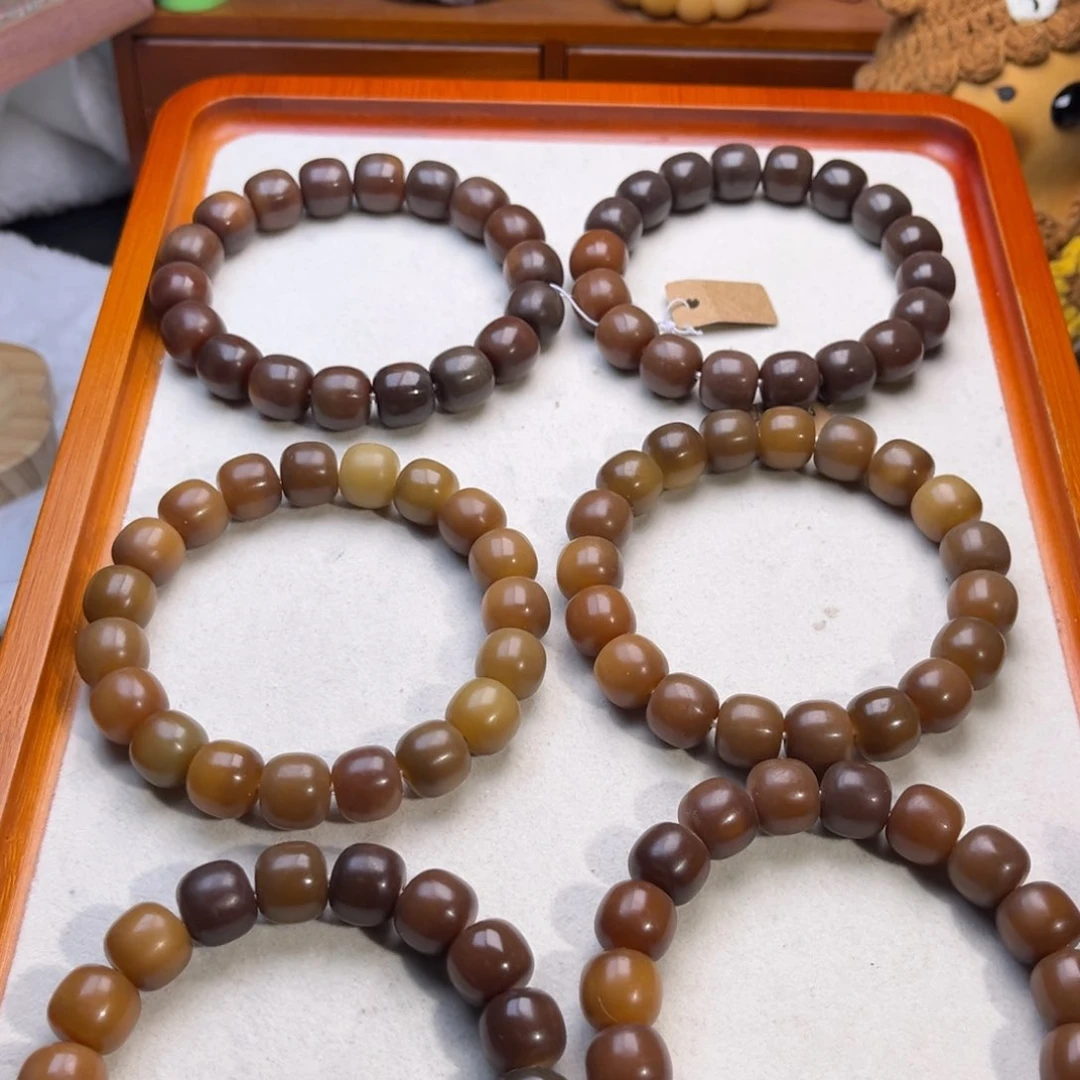 吊坠菩提根/象牙果