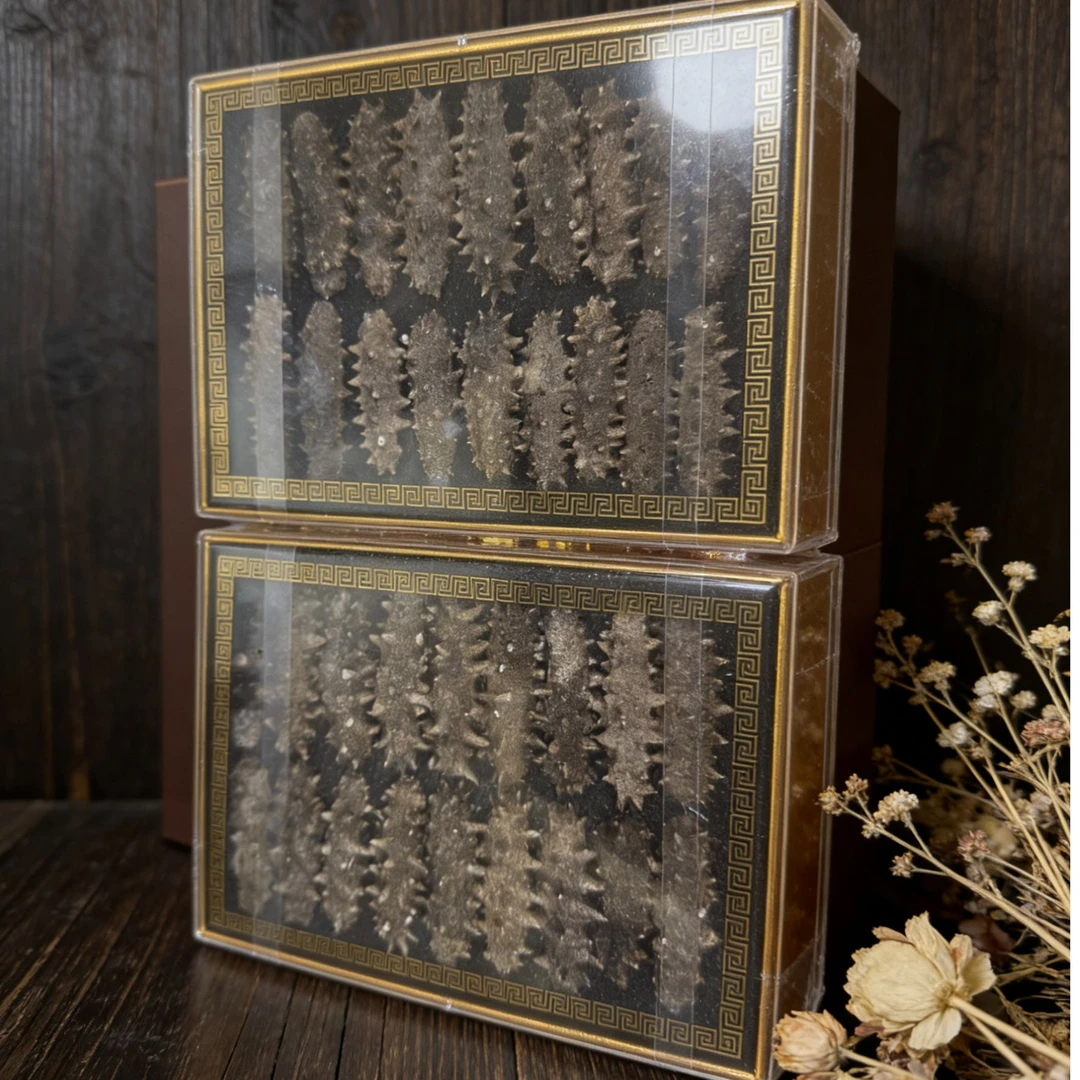 【两盒海参自己吃】 两盒36根 干参6公分 个头大 肉质肥厚 口感好