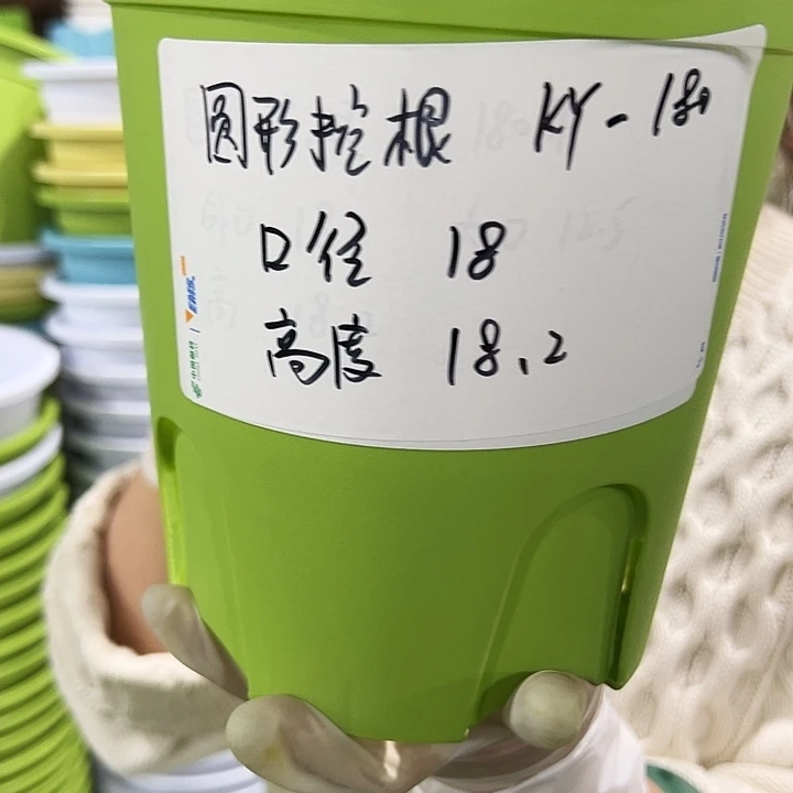 正品圆控根口18高18白色无托8个