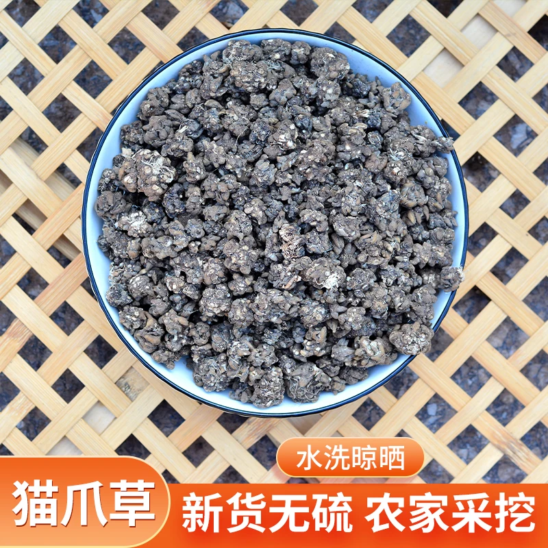 当季新猫爪草不熏硫自然晾晒泡水煮水煮鸡蛋可搭配夏枯草