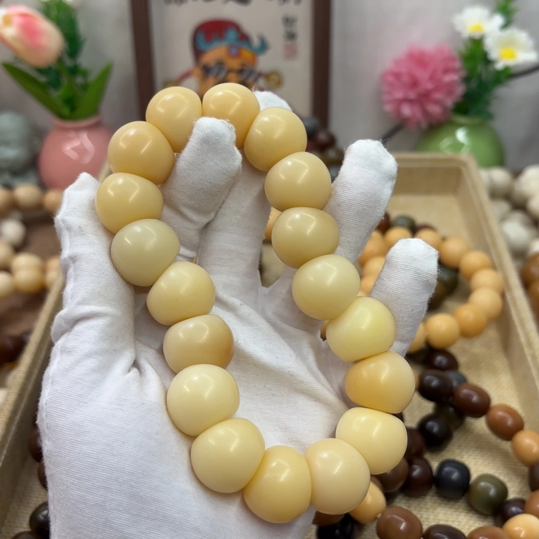 菩提根/象牙果吊坠20干磨瑕疵落地果肠921