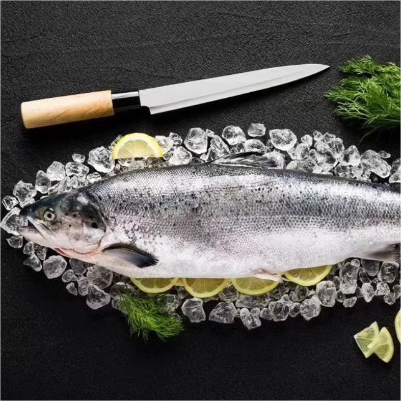 海聚合品 |新西兰丹麦法罗三文鱼块500克可刺身食用发货品质
