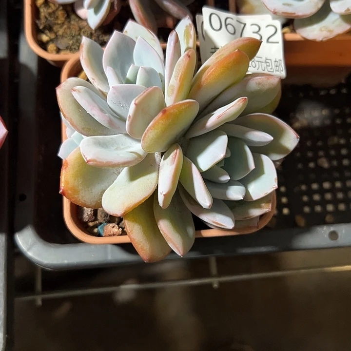 幸运的是我还没遇到