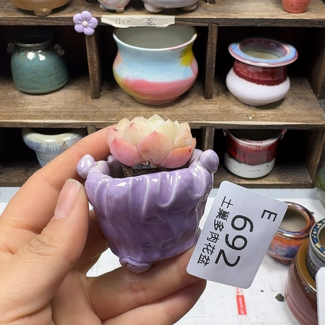 罐W****奶陶瓷艺术品制作与设计