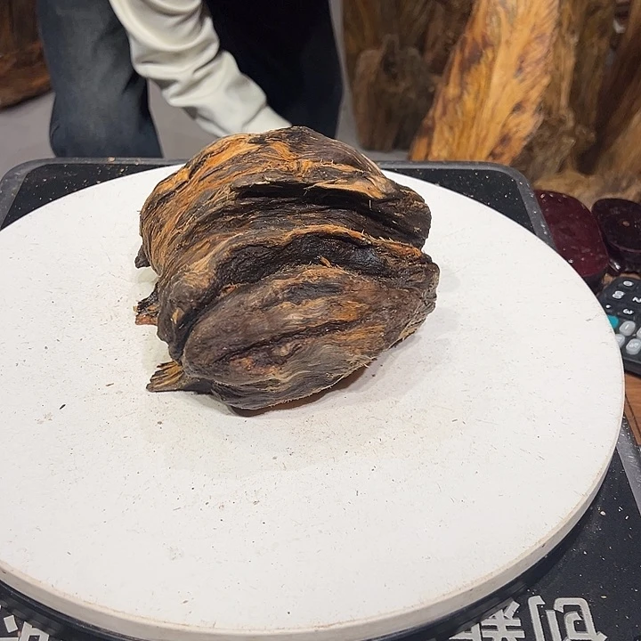 松木（琥珀木）文*