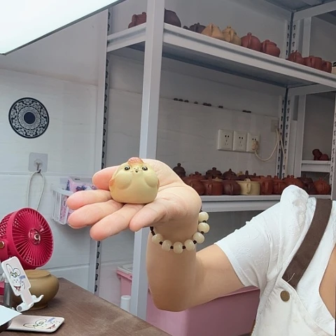 段泥茶案吐泡泡茶宠