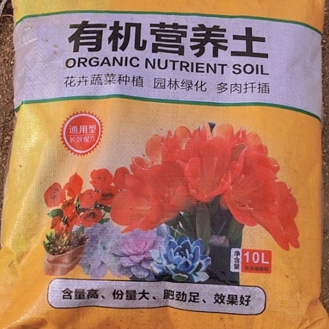 2.6.寄养链接多肉植物