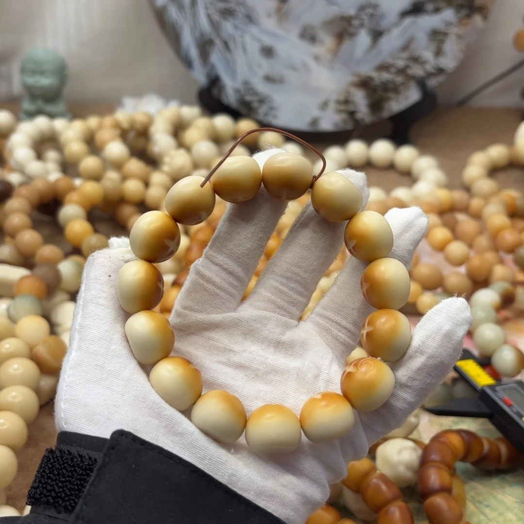 吊坠菩提根/象牙果18干磨微瑕牙果香菇包036