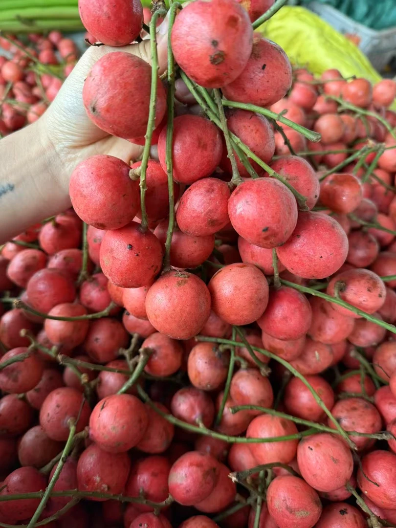 云南绿春特产三丫果新鲜美味  酸甜口味到货后会变黑一点介意勿拍