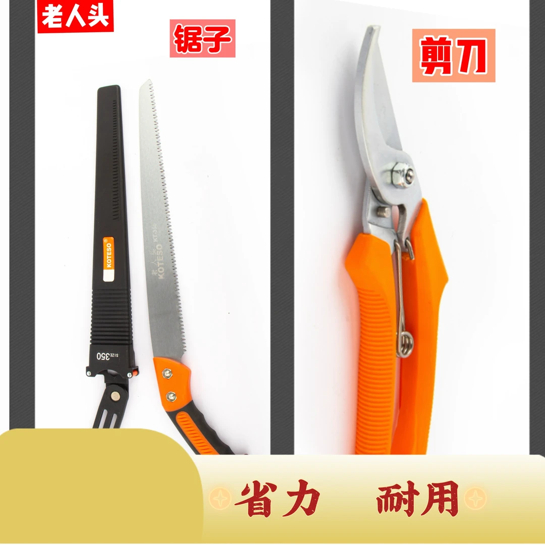 果树修枝剪刀和果树锯子剪枝剪子
