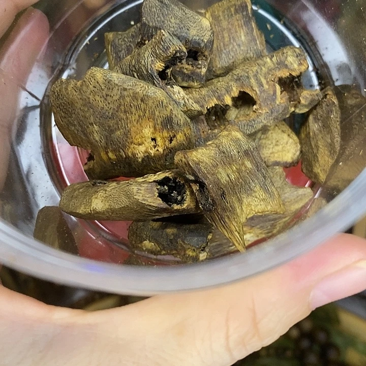 楠木路河品种块料30克
