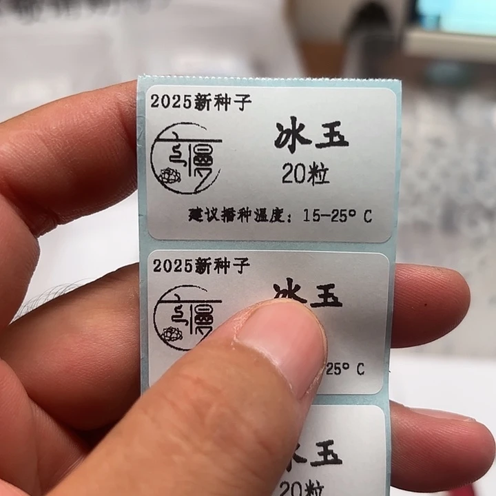 如图2025新种子糖心系冰玉20粒