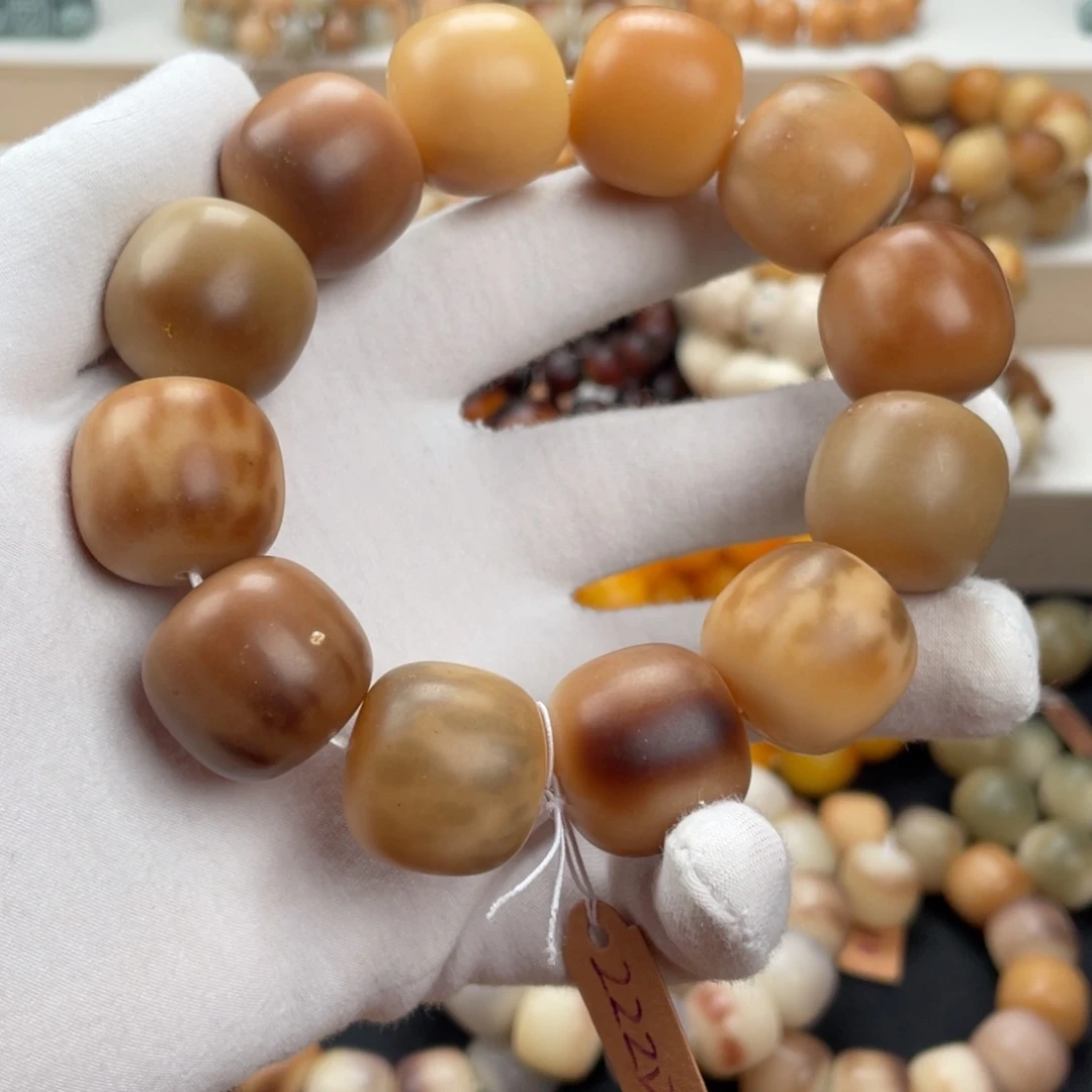 吊坠菩提根/象牙果卡22老树王瑕