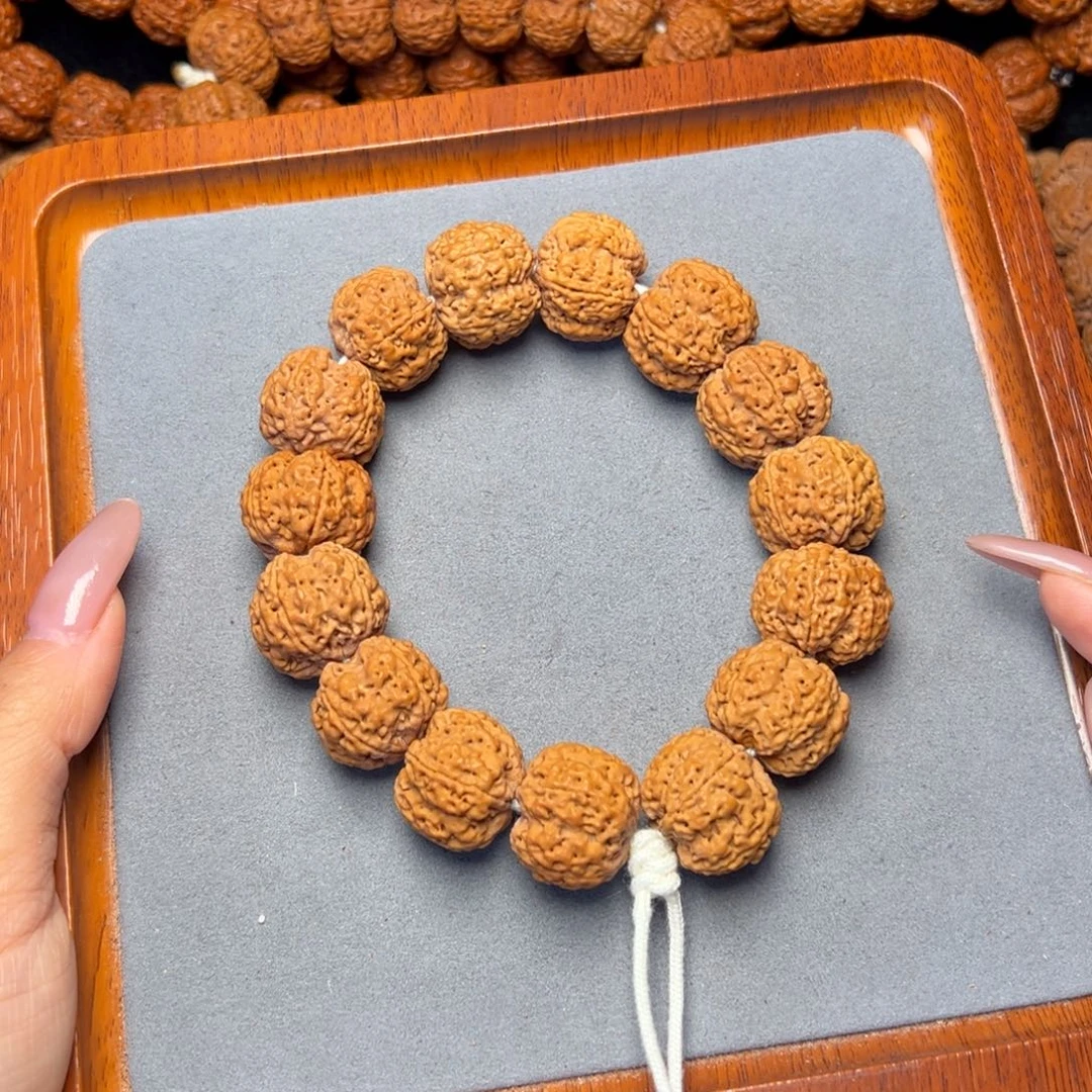 菩提36号金刚菩提安娜蜂王21