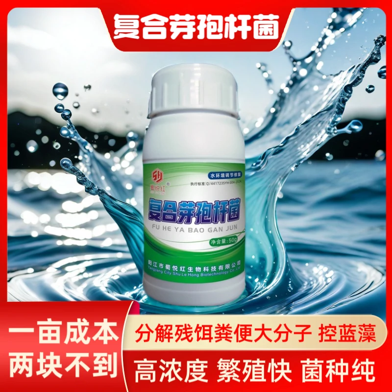 芽孢杆菌粉分解残饵粪便大分子调水控蓝藻