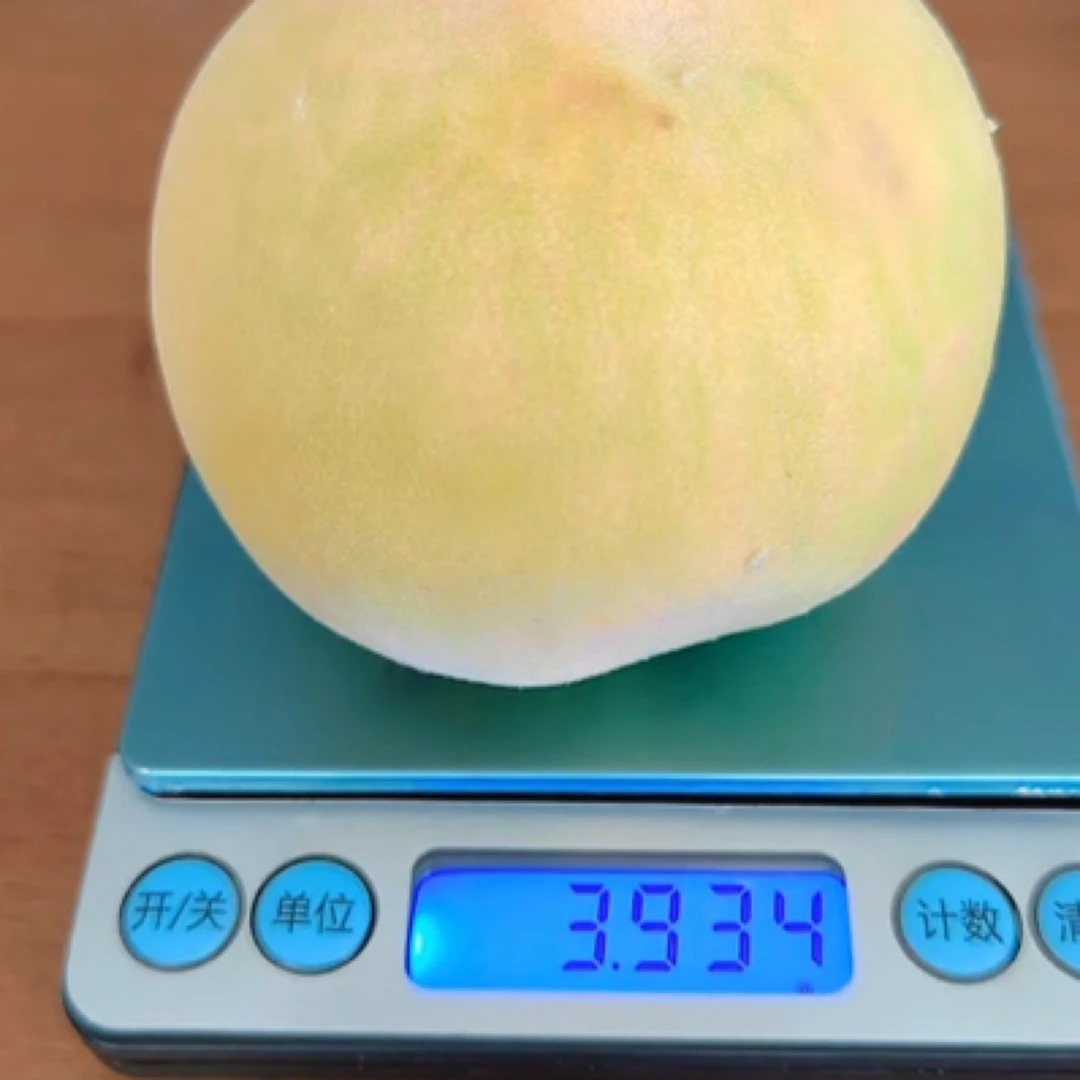 大八三  6月底7月初 一年成苗