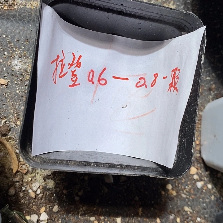 拉登0.6-0.8一颗。