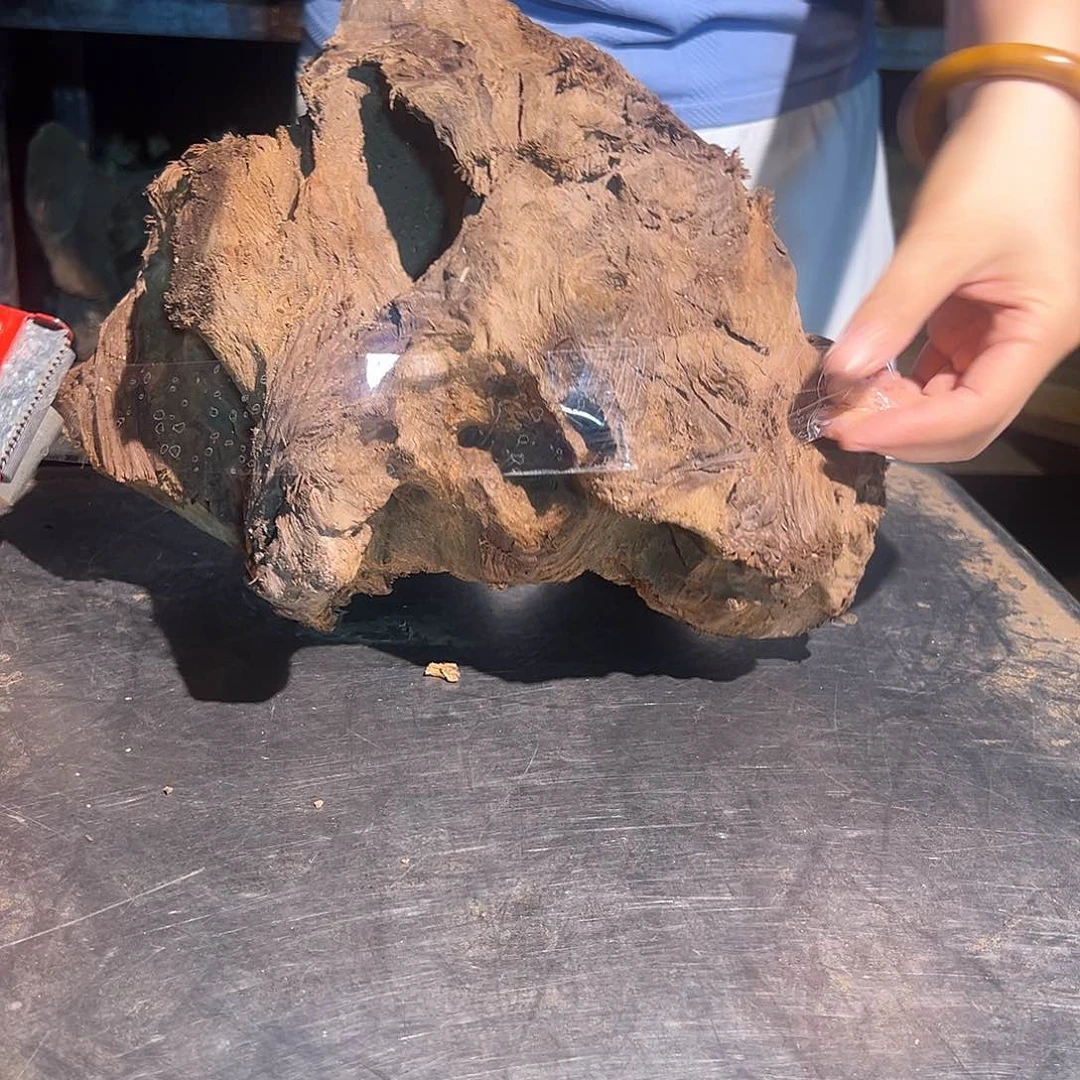 楠木楠*3333333333333