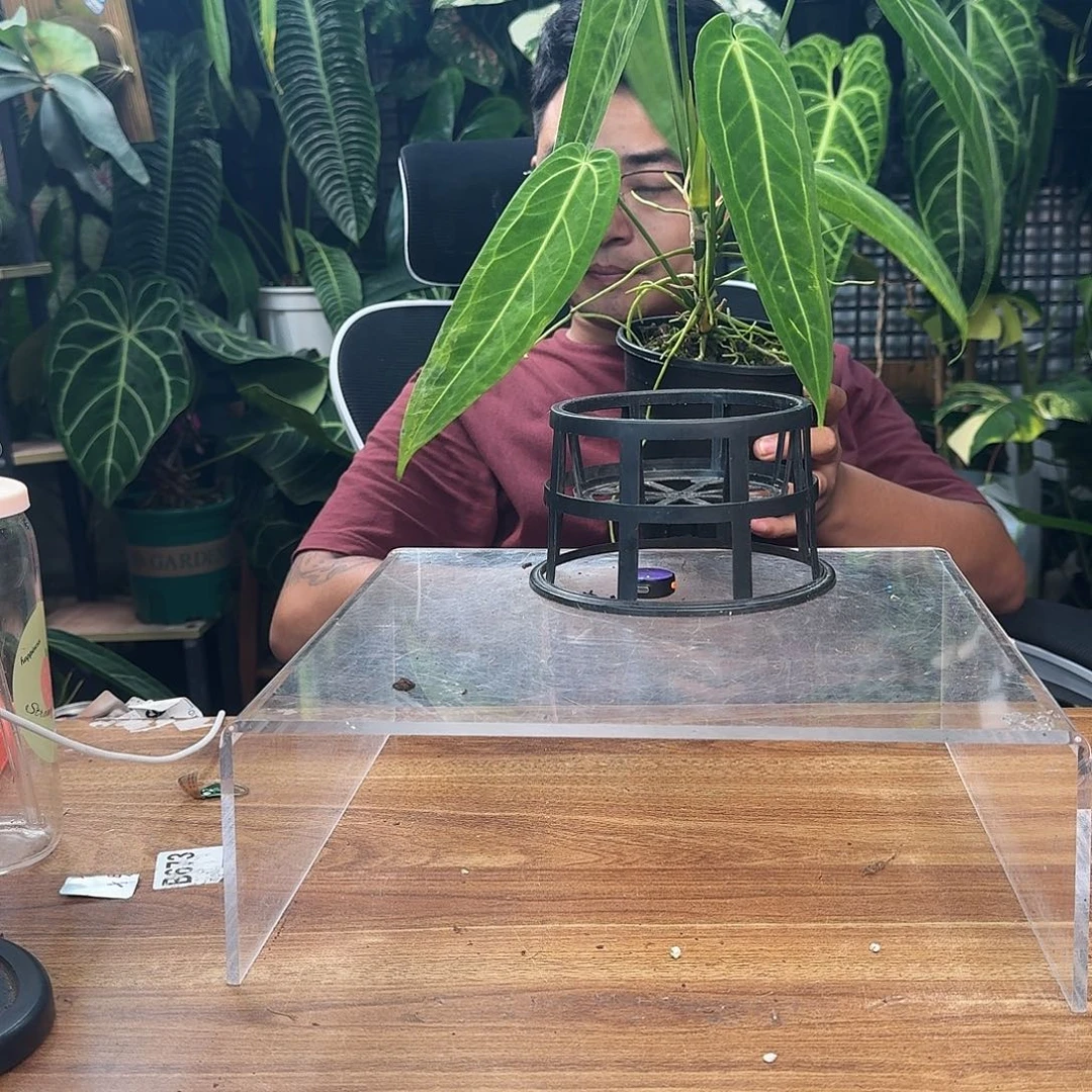 L***n完全开放一物一拍B840