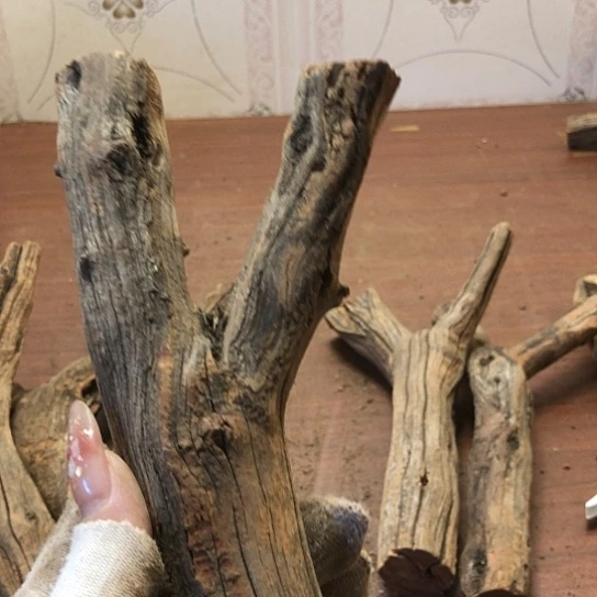 大果紫檀（缅甸花梨）开**好