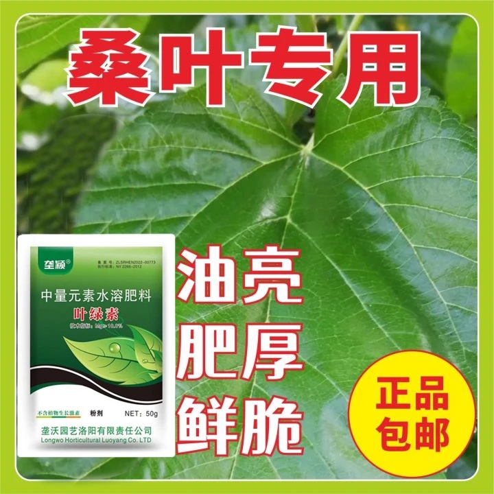 桑蚕桑树专用肥叶片浓绿肥厚鲜嫩桑叶高产防小叶桑树叶面肥叶绿素