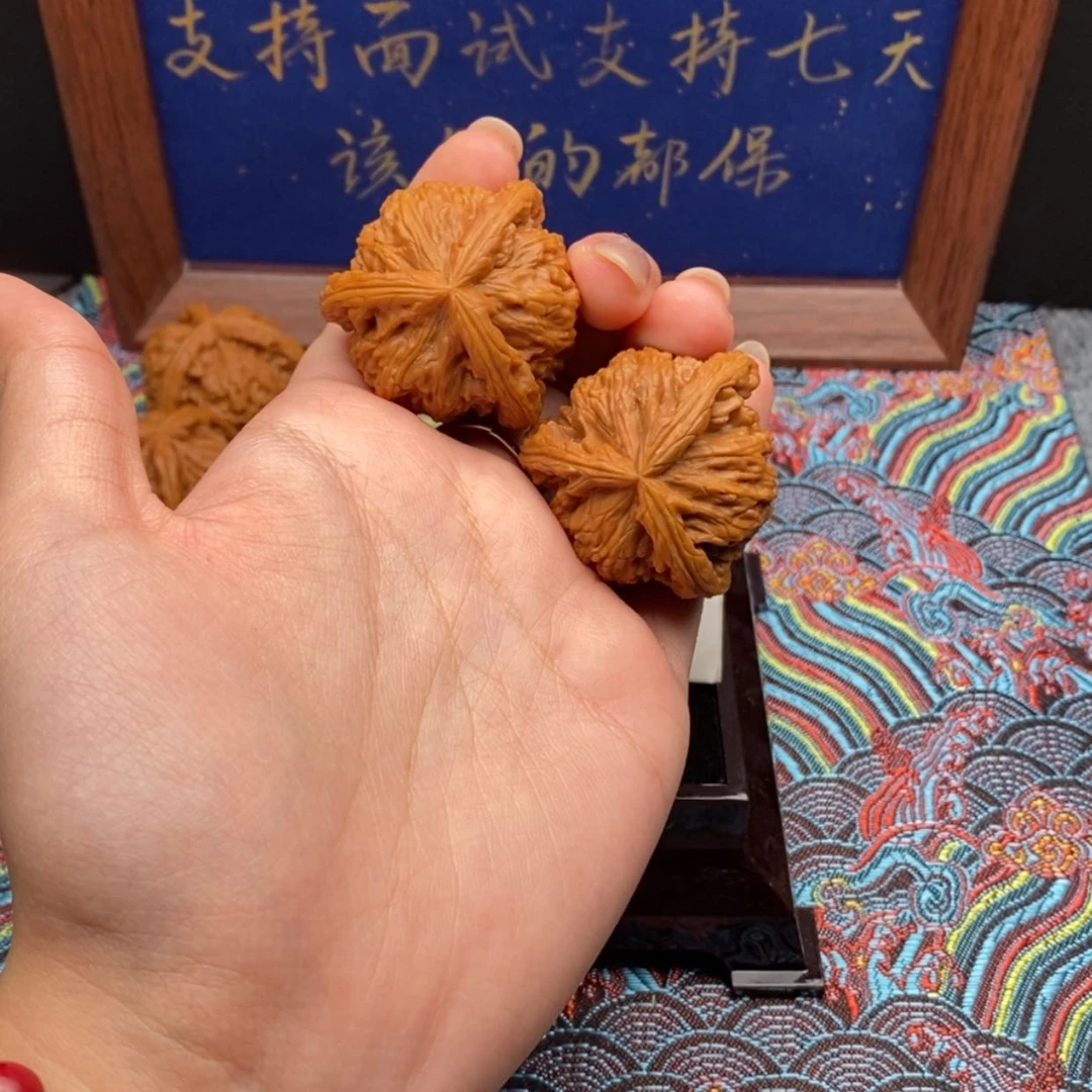 【闪购商品】大**亮白狮