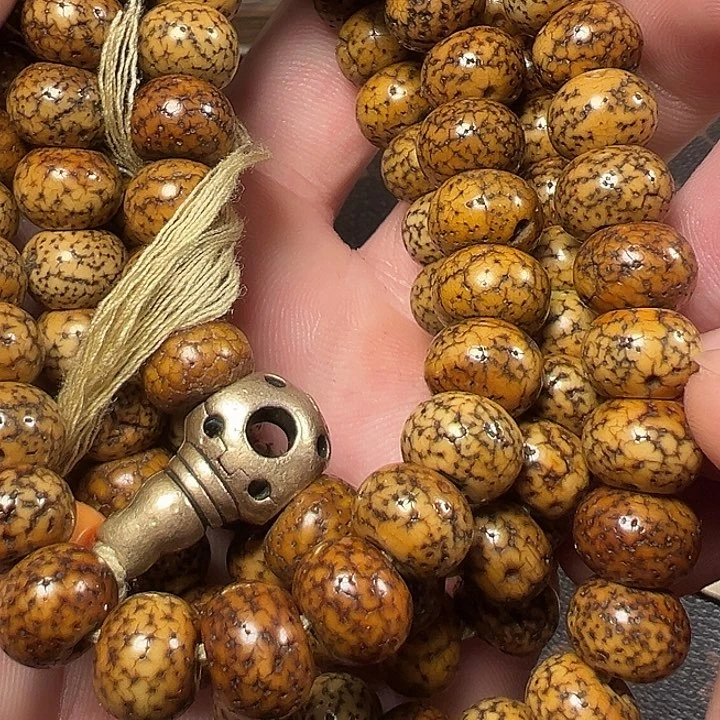 我们都是在这里看到的哈