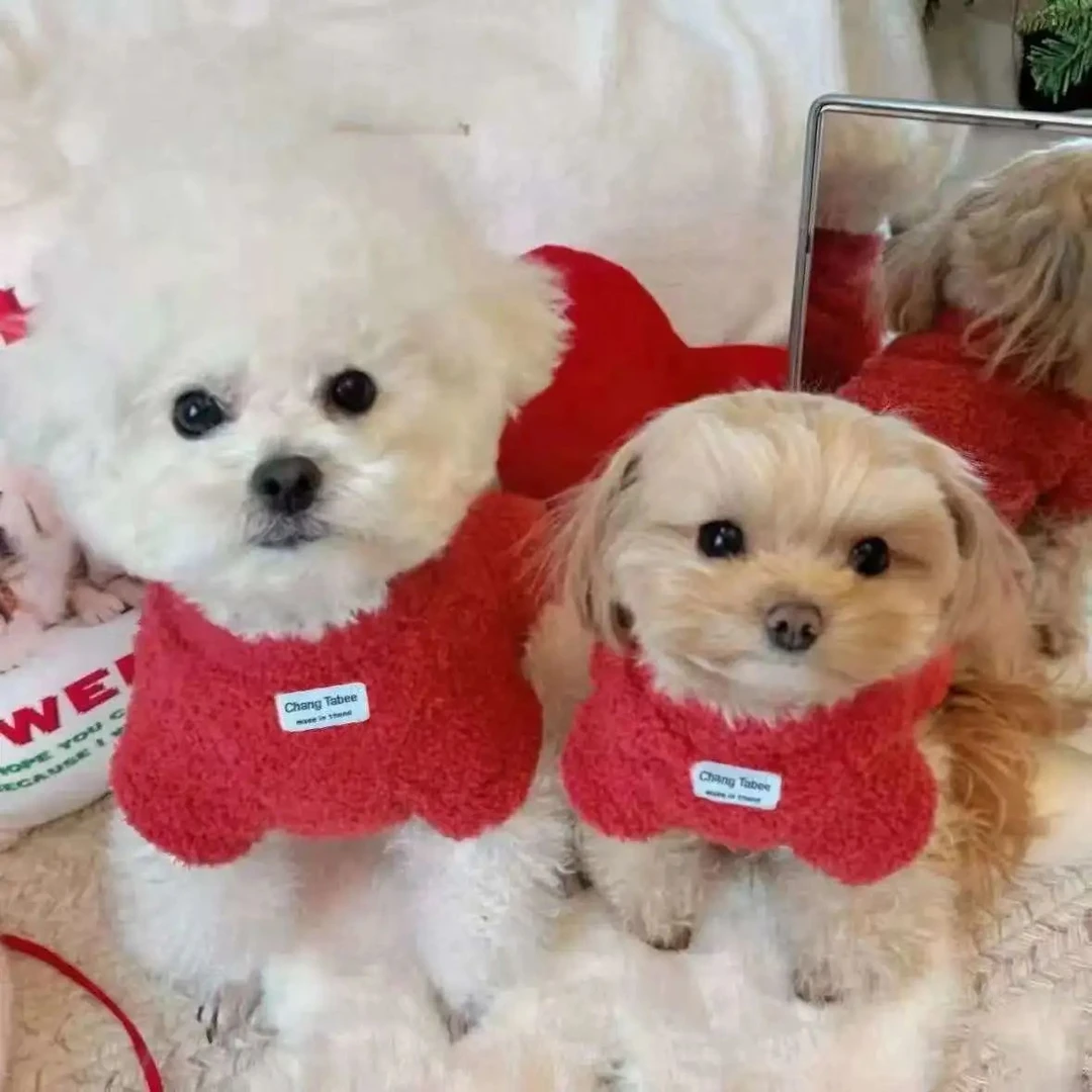 新年红喜庆宠物衣服狗狗冬天衣服加厚双面毛猫咪同款狗狗衣服冬季