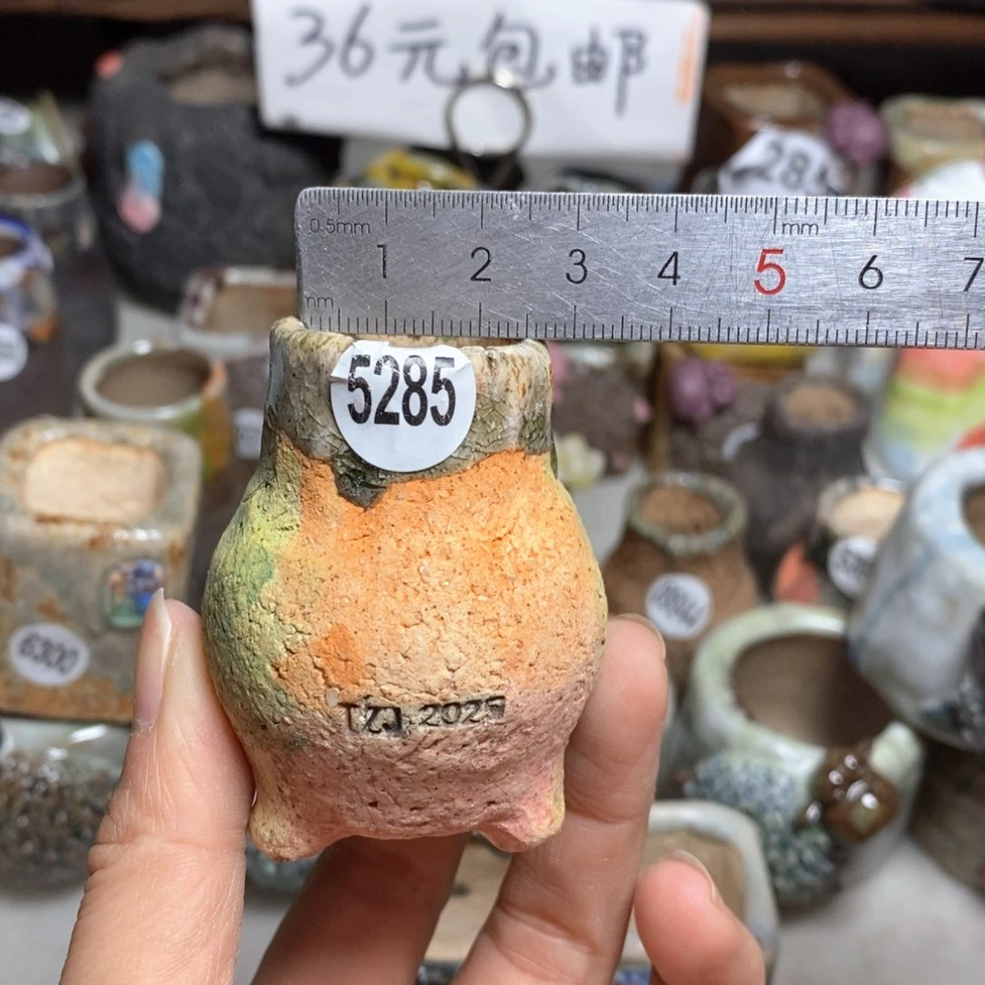 拍3送一个小礼物