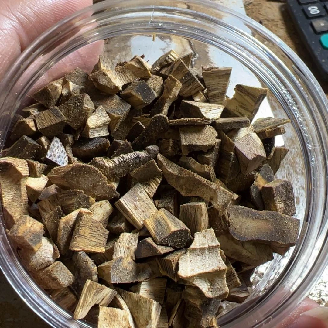 高油脂乌身圆叶黑珍珠品种边角料100克装