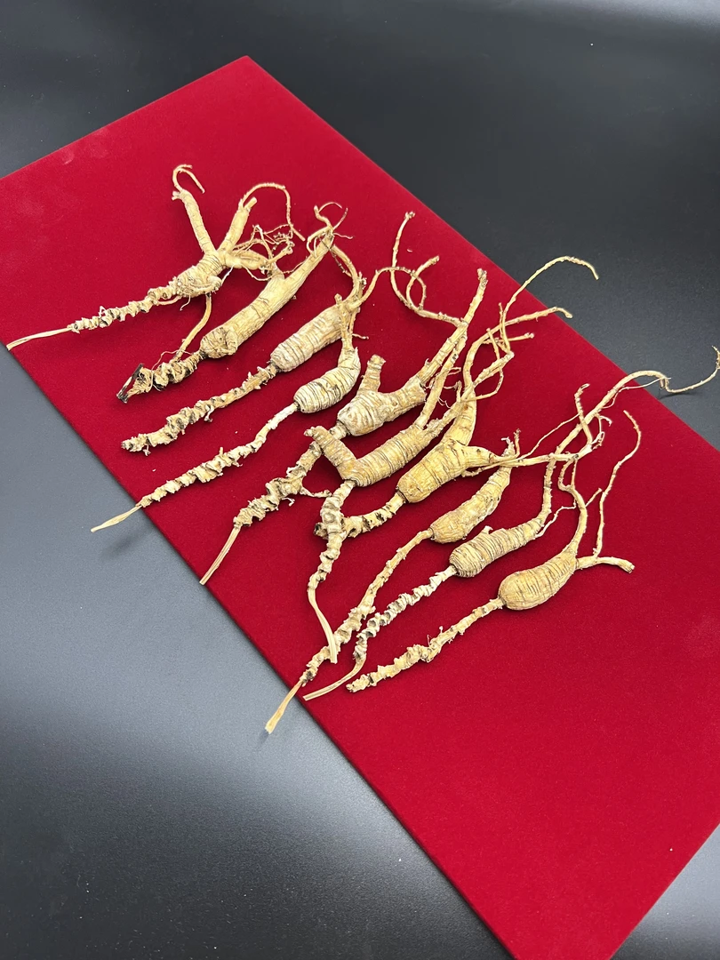 林下参野山参小个头干参