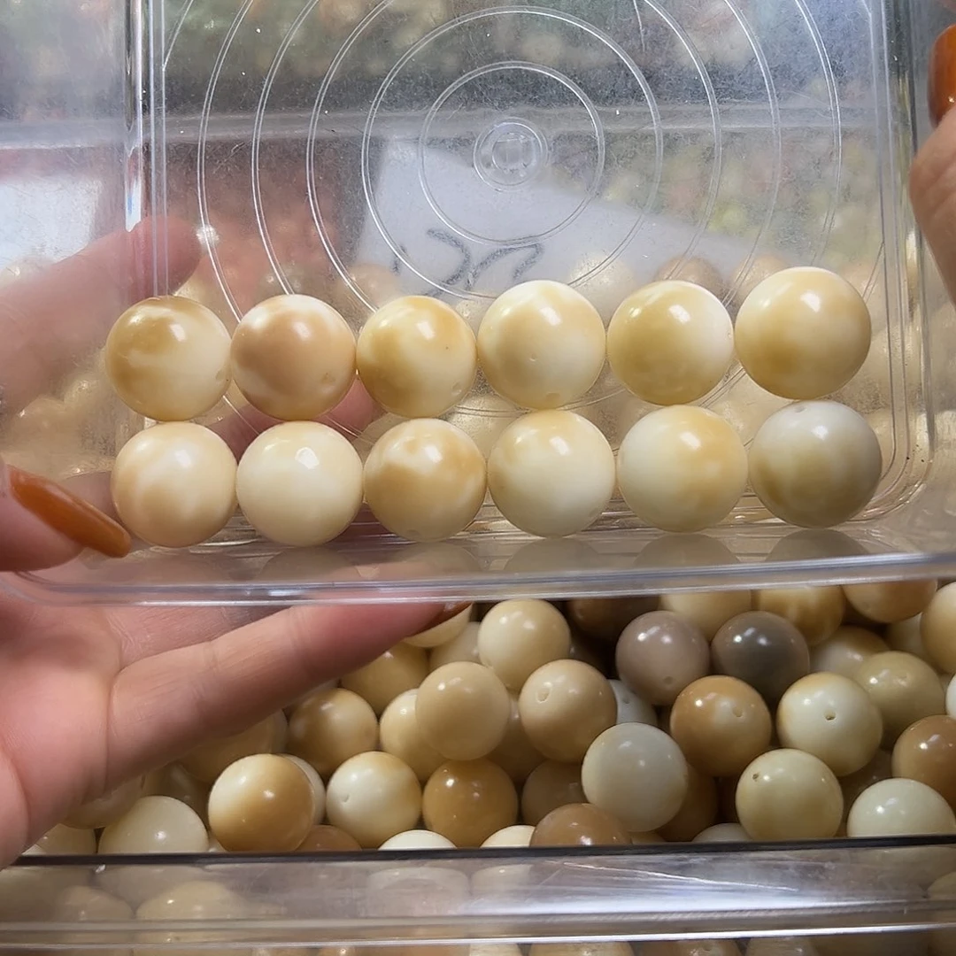 菩提根/象牙果吊坠别****！瑕疵21圆2颗