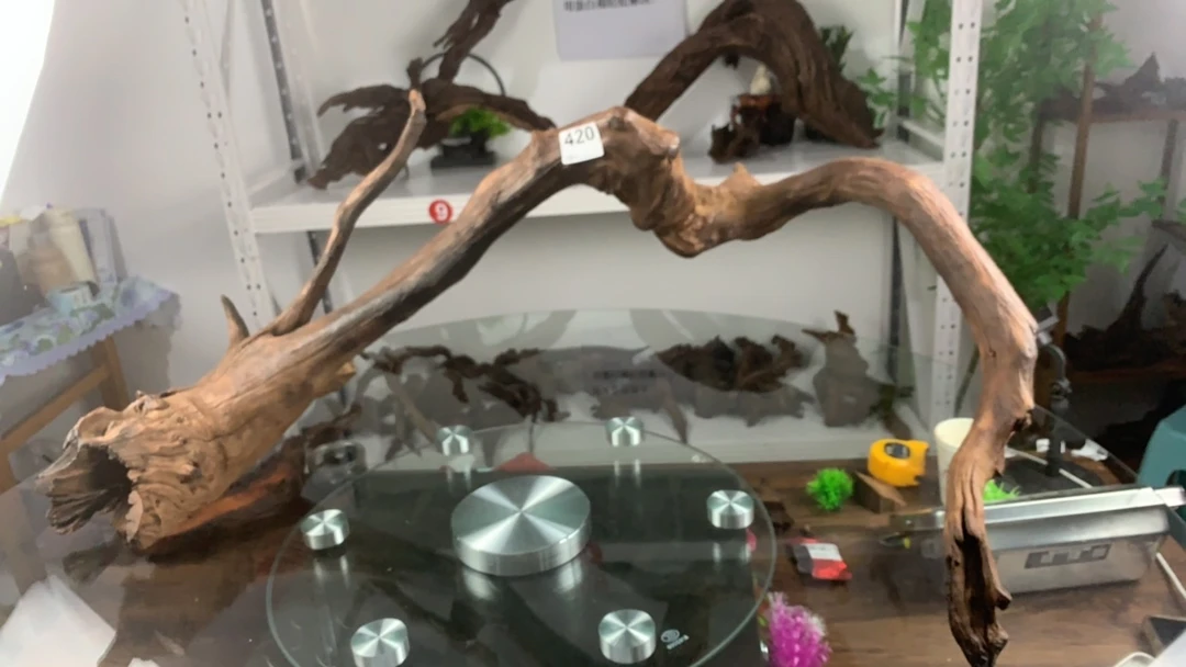 云南本地紫柚木秒沉420